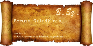 Boruzs Szidónia névjegykártya